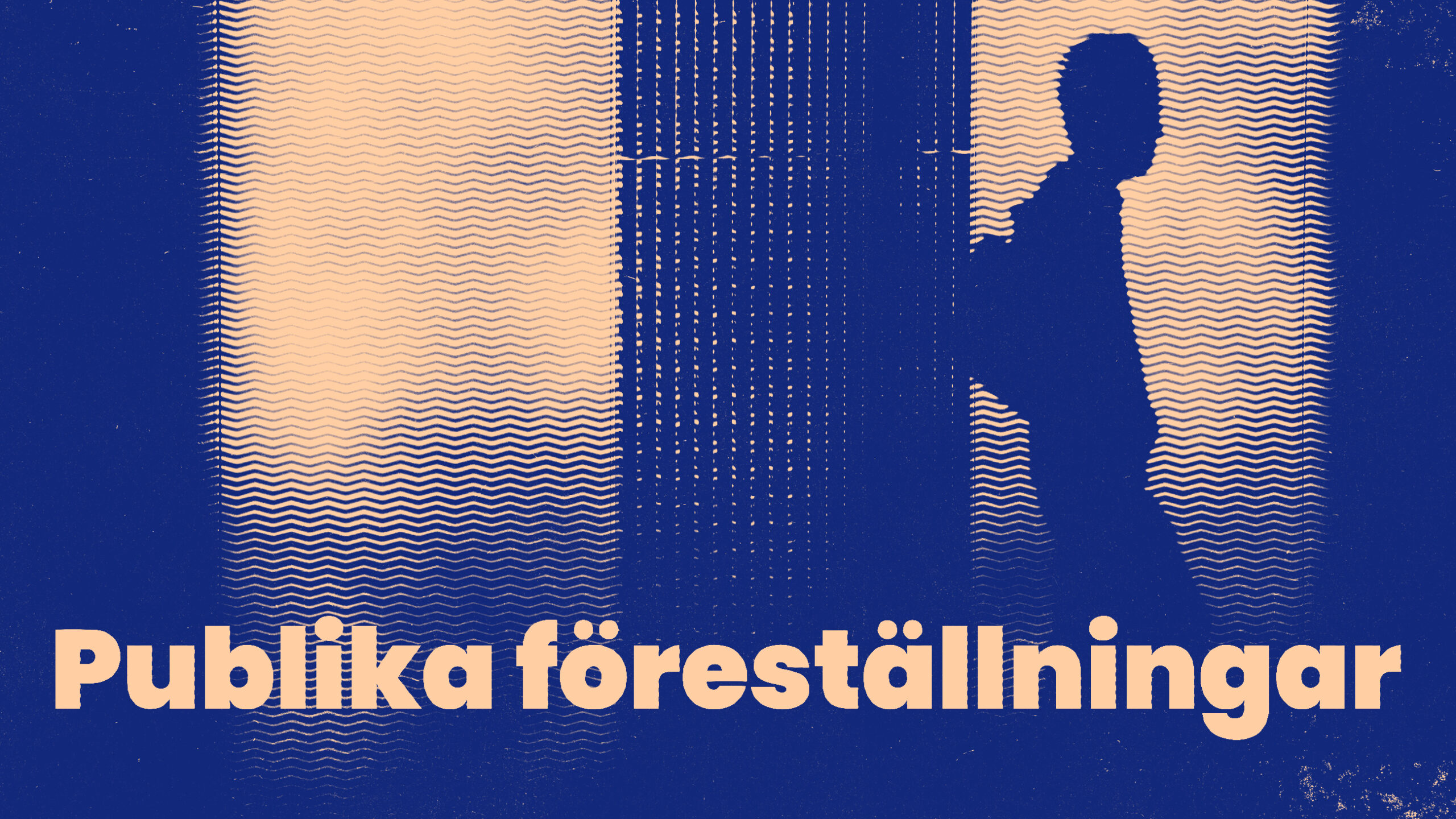 Publika föreställningar